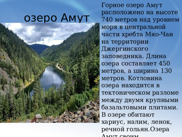 Горное озеро Амут расположено на высоте 740 метров над уровнем моря в центральной части хребта Мяо-Чан на территории Джергинского заповедника. Длина озера составляет 450 метров, а ширина 130 метров. Котловина озера находится в тектоническом разломе между двумя крупными базальтовыми плитами. В озере обитают хариус, налим, ленок, речной гольян.Озера Амут своим уникальным микроклиматом, привлекает много туристов со всего Дальнего Востока. озеро Амут  