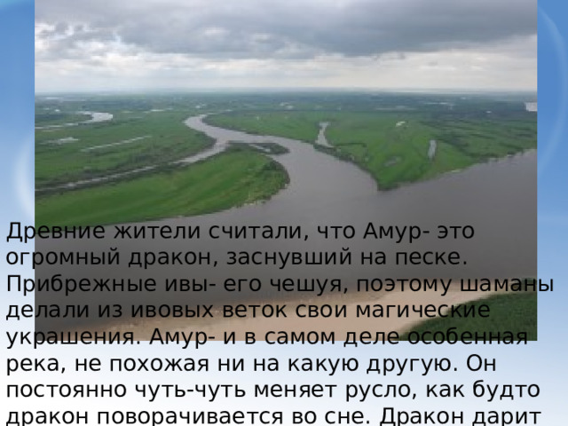 Древние жители считали, что Амур- это огромный дракон, заснувший на песке. Прибрежные ивы- его чешуя, поэтому шаманы делали из ивовых веток свои магические украшения. Амур- и в самом деле особенная река, не похожая ни на какую другую. Он постоянно чуть-чуть меняет русло, как будто дракон поворачивается во сне. Дракон дарит несметные богатства- уникальные виды рыб.  