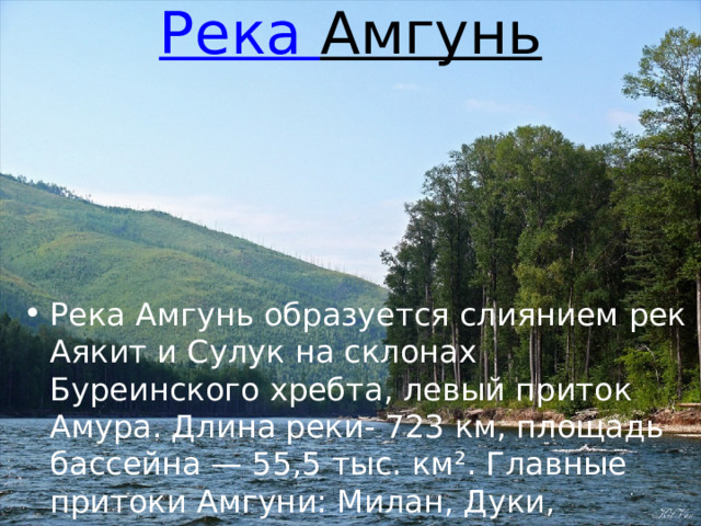 Река Амгунь   Река Амгунь образуется слиянием рек Аякит и Сулук на склонах Буреинского хребта, левый приток Амура. Длина реки- 723 км, площадь бассейна — 55,5 тыс. км². Главные притоки Амгуни: Милан, Дуки, Баджал, Нимелен, Сомня, Им – типичные быстрые горные реки. 
