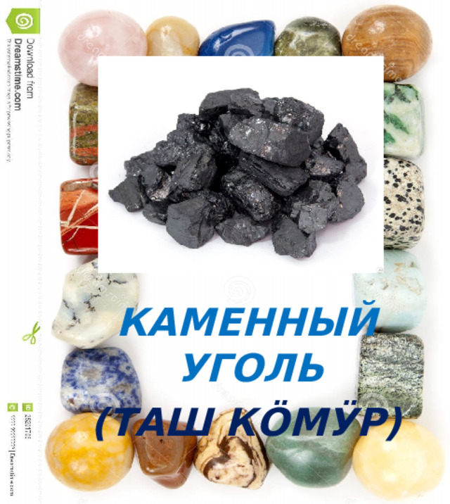 КАМЕННЫЙ УГОЛЬ (ТАШ КӦМӰР) 