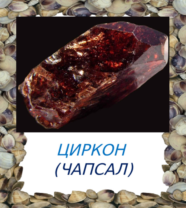 ЦИРКОН  (ЧАПСАЛ) 