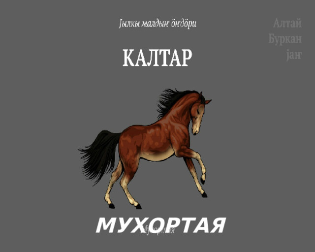МУХОРТАЯ 