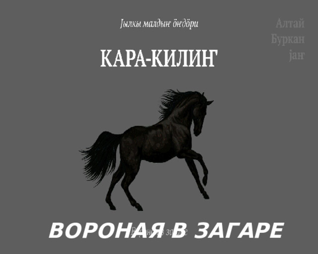 ВОРОНАЯ В ЗАГАРЕ 