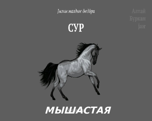 МЫШАСТАЯ 