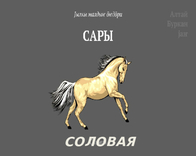 СОЛОВАЯ 