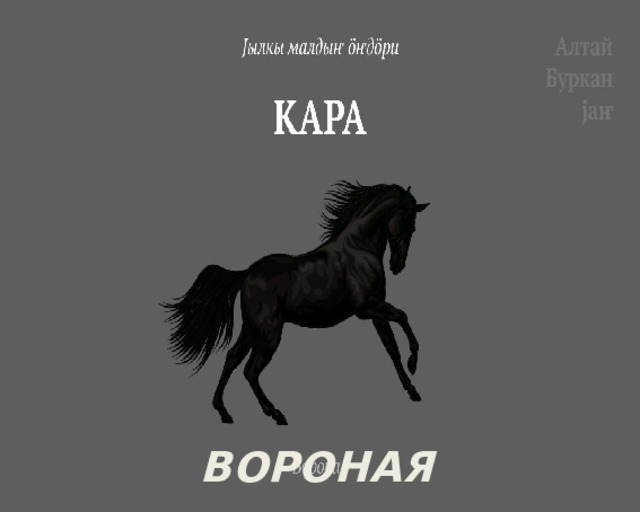 ВОРОНАЯ 