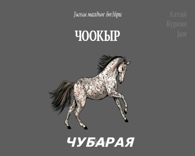 ЧУБАРАЯ 