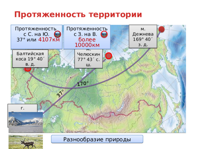 170° 37° Протяженность территории Протяженность Протяженность м. Дежнева 169° 40´ з. д. с З. на В. с С. на Ю. более 10000км  37° или 4107км  м. Челюскин 77° 43´ с. ш. Балтийская коса 19° 40´ в. д. Анимация по щелчку. Щелкать по цветным овалам после показа протяженности для демонстрации разнообразия природы. г. Базардюзю 41° 11´с. ш. Разнообразие природы  