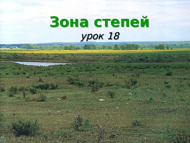 Зона степей  урок 18 