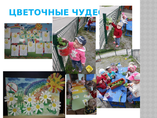Цветочные чудеса 