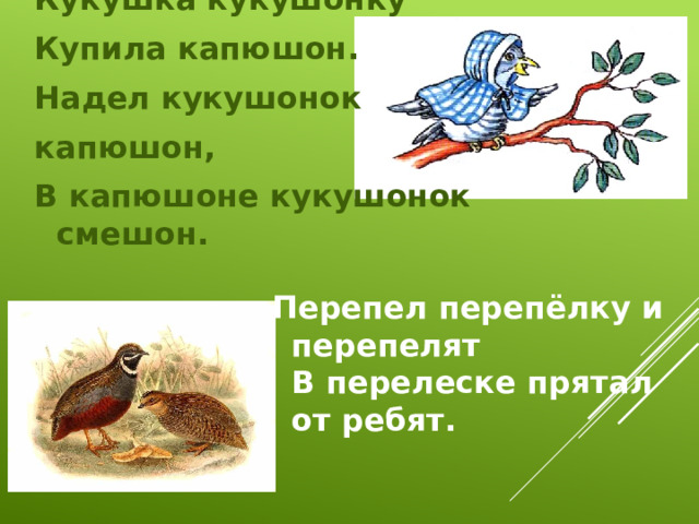Кукушка кукушонку  Купила капюшон.  Надел кукушонок капюшон,  В капюшоне кукушонок смешон. Перепел перепёлку и перепелят  В перелеске прятал от ребят. 