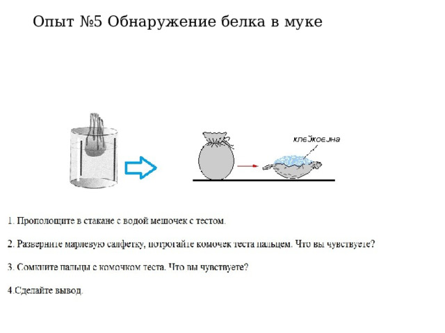 Опыт №5 Обнаружение белка в муке 