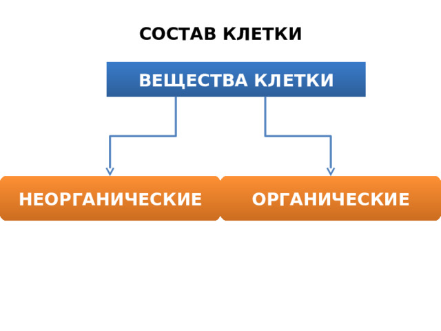 СОСТАВ КЛЕТКИ ВЕЩЕСТВА КЛЕТКИ НЕОРГАНИЧЕСКИЕ ОРГАНИЧЕСКИЕ 