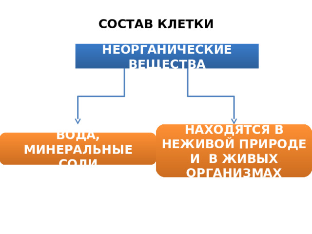 СОСТАВ КЛЕТКИ НЕОРГАНИЧЕСКИЕ ВЕЩЕСТВА НАХОДЯТСЯ В НЕЖИВОЙ ПРИРОДЕ И В ЖИВЫХ ОРГАНИЗМАХ ВОДА, МИНЕРАЛЬНЫЕ СОЛИ 