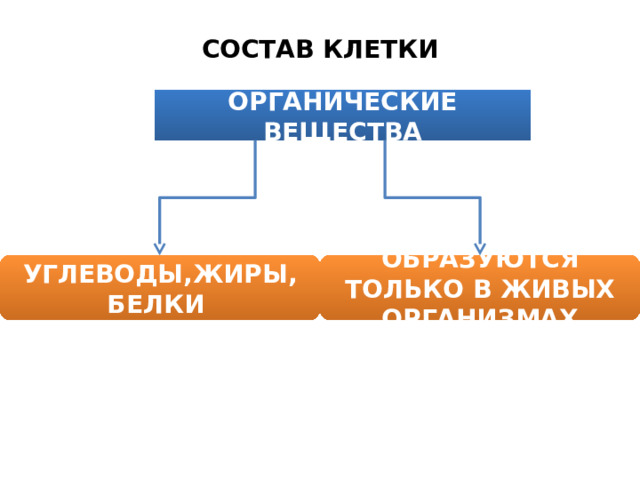 СОСТАВ КЛЕТКИ ОРГАНИЧЕСКИЕ ВЕЩЕСТВА УГЛЕВОДЫ,ЖИРЫ, БЕЛКИ ОБРАЗУЮТСЯ ТОЛЬКО В ЖИВЫХ ОРГАНИЗМАХ 