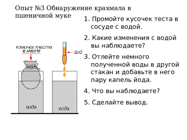 Опыт №3 Обнаружение крахмала в пшеничной муке 1. Промойте кусочек теста в сосуде с водой. 2. Какие изменения с водой вы наблюдаете? 3. Отлейте немного полученной воды в другой стакан и добавьте в него пару капель йода. 4. Что вы наблюдаете? 5. Сделайте вывод. 