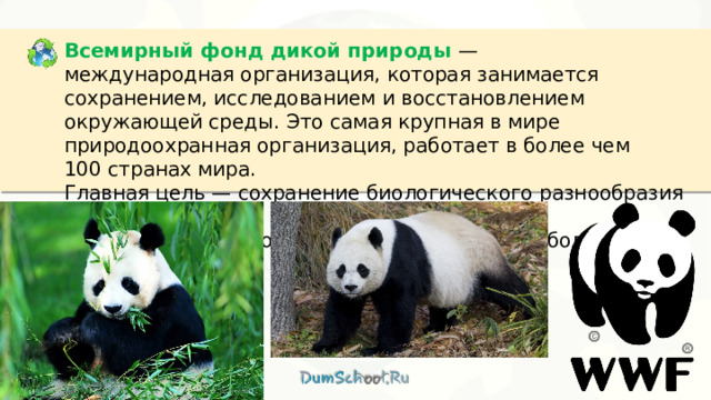 Всемирный фонд дикой природы  — международная организация, которая занимается сохранением, исследованием и восстановлением окружающей среды. Это самая крупная в мире природоохранная организация, работает в более чем 100 странах мира. Главная цель — сохранение биологического разнообразия Земли. Символ Всемирного фонда дикой природы — большая панда. 