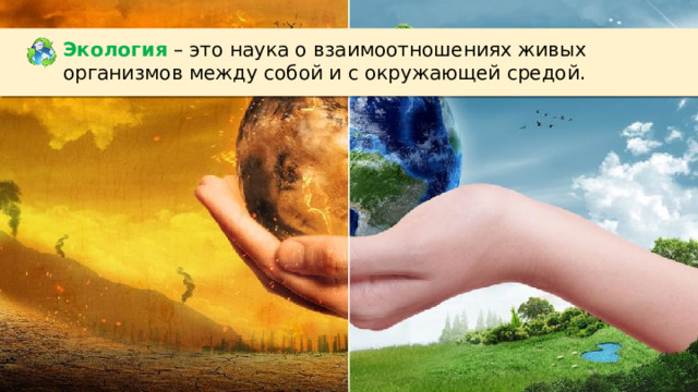 Экология  – это наука о взаимоотношениях живых организмов между собой и с окружающей средой.  
