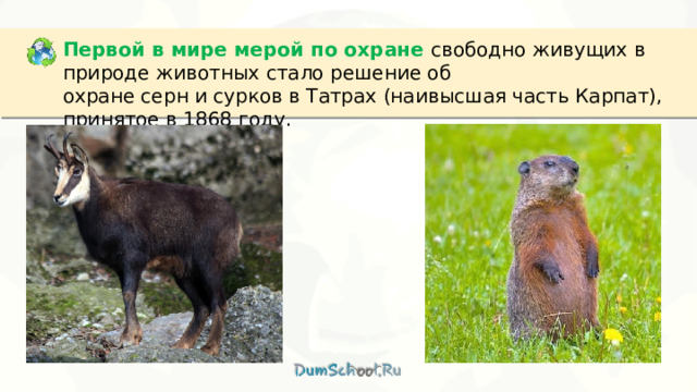 Первой в мире мерой по охране свободно живущих в природе животных стало решение об охране серн и сурков в Татрах (наивысшая часть Карпат), принятое в 1868 году. 