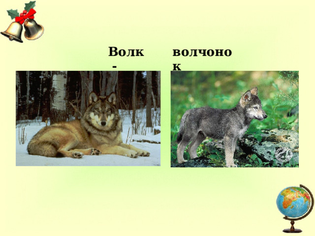 Волк - волчонок 