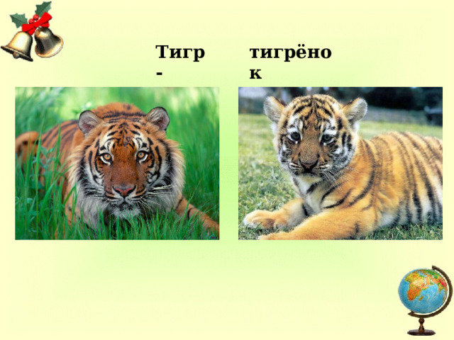 Тигр - тигрёнок 