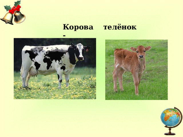Корова - телёнок 