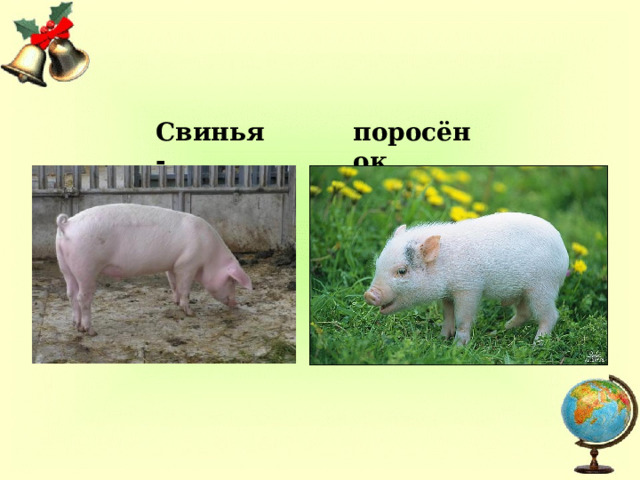 Свинья - поросёнок 