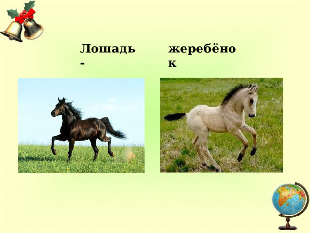 Лошадь - жеребёнок 