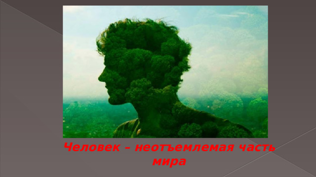 Человек – неотъемлемая часть мира 