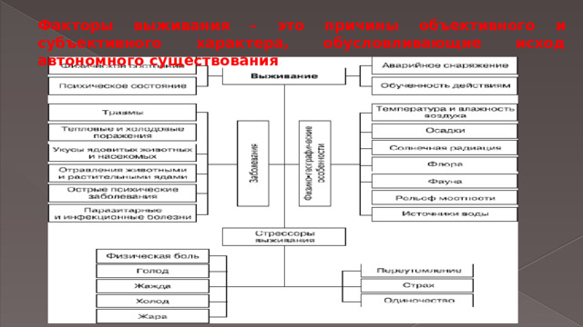 Факторы выживания – это причины объективного и субъективного характера, обусловливающие исход автономного существования 