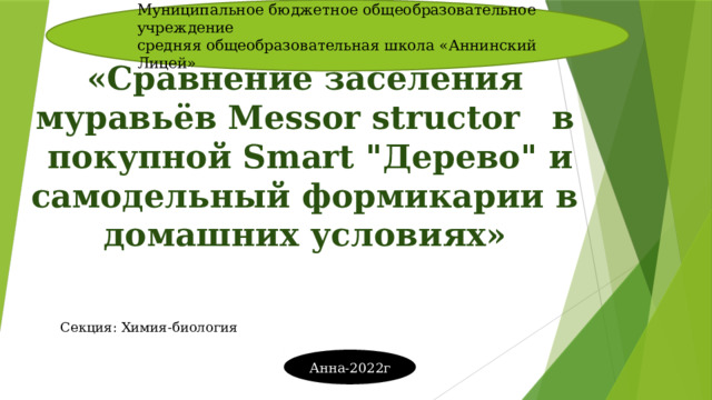 Муниципальное бюджетное общеобразовательное учреждение средняя общеобразовательная школа «Аннинский Лицей»  Учебно-исследовательская работа   «Сравнение заселения муравьёв Messor structor  в покупной Smart 