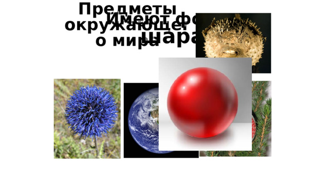 Предметы окружающего мира Имеют форму шара 