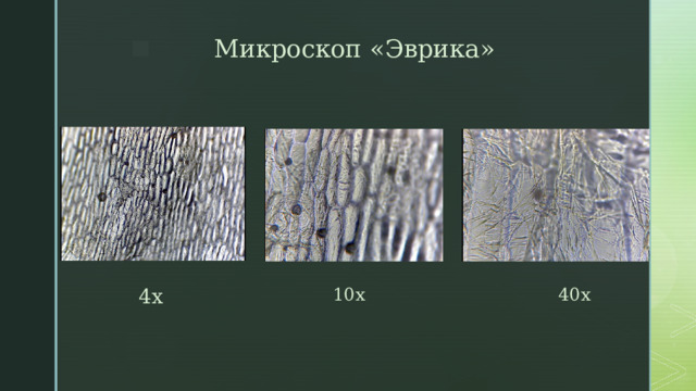 Микроскоп «Эврика» 4х 10х 40х 