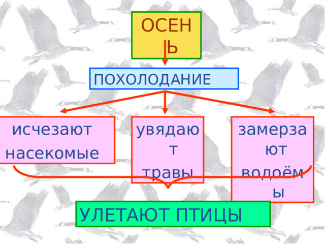 ОСЕНЬ ПОХОЛОДАНИЕ исчезают насекомые увядают травы замерзают водоёмы УЛЕТАЮТ ПТИЦЫ 