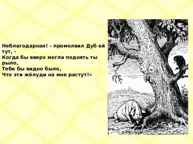 Неблагодарная! – промолвил Дуб ей тут, - Когда бы вверх могла поднять ты рыло, Тебе бы видно было, Что эти жёлуди на мне растут!» 