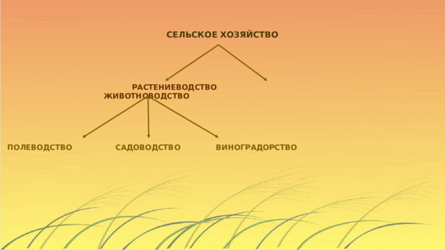 СЕЛЬСКОЕ ХОЗЯЙСТВО  РАСТЕНИЕВОДСТВО ЖИВОТНОВОДСТВО ПОЛЕВОДСТВО САДОВОДСТВО ВИНОГРАДОРСТВО 