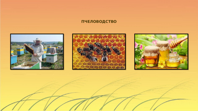 ПЧЕЛОВОДСТВО 