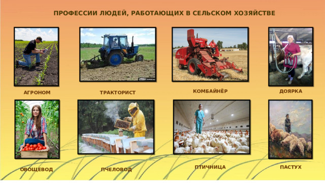ПРОФЕССИИ ЛЮДЕЙ, РАБОТАЮЩИХ В СЕЛЬСКОМ ХОЗЯЙСТВЕ ДОЯРКА КОМБАЙНЁР АГРОНОМ ТРАКТОРИСТ ПТИЧНИЦА ПАСТУХ ОВОЩЕВОД ПЧЕЛОВОД 