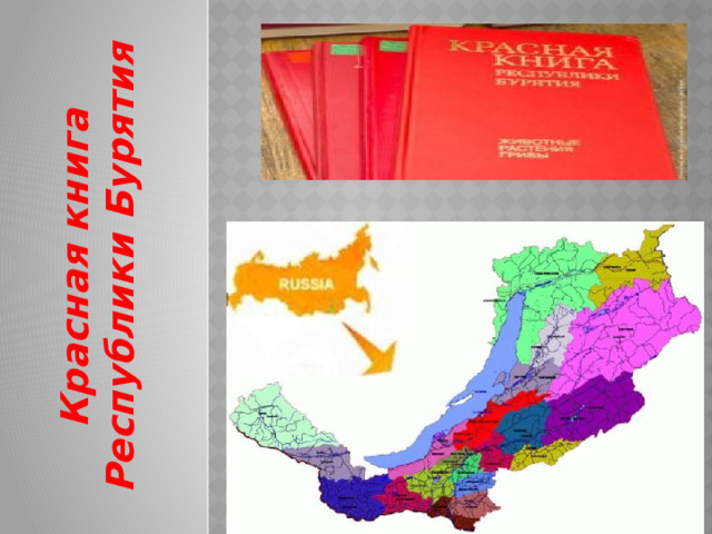 Красная книга Республики Бурятия 
