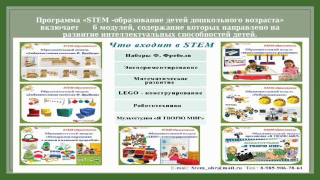 Программа «STEM -образование детей дошкольного возраста» включает  6 модулей, содержание которых направлено на развитие интеллектуальных способностей детей. 
