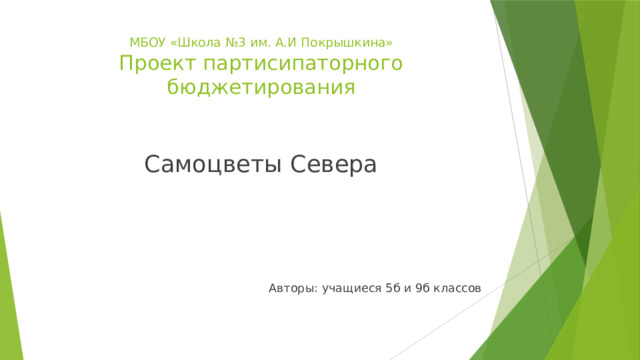 МБОУ «Школа №3 им. А.И Покрышкина»  Проект партисипаторного бюджетирования Самоцветы Севера Авторы: учащиеся 5б и 9б классов 