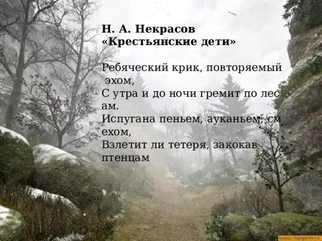 Н. А. Некрасов «Крестьянские дети»  Ребяческий крик, повторяемый эхом, С утра и до ночи гремит по лесам. Испугана пеньем, ауканьем, смехом, Взлетит ли тетеря, закокав птенцам 