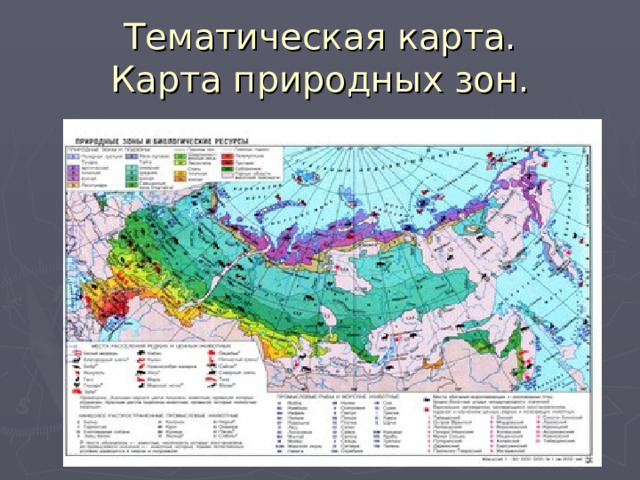 Тематическая карта.  Карта природных зон. 