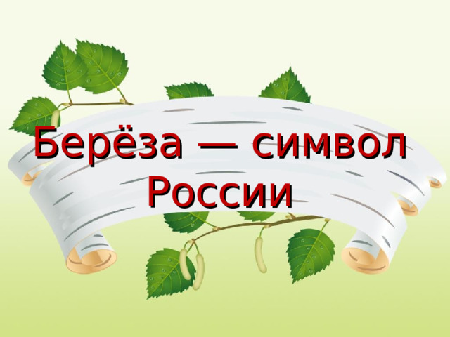 Берёза — символ России 