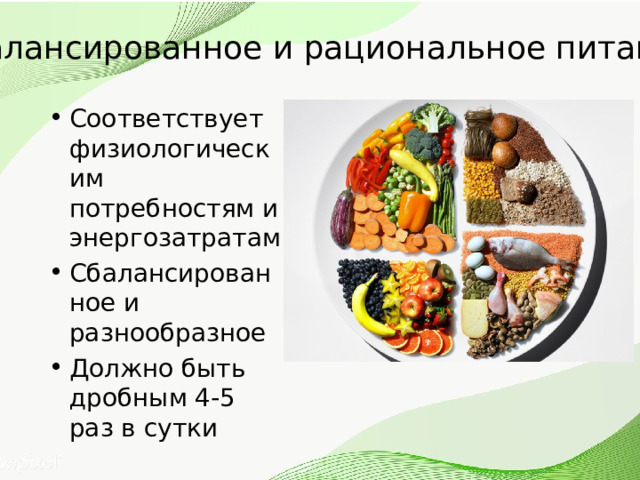 Сбалансированное и рациональное питание Соответствует физиологическим потребностям и энергозатратам Сбалансированное и разнообразное Должно быть дробным 4-5 раз в сутки 