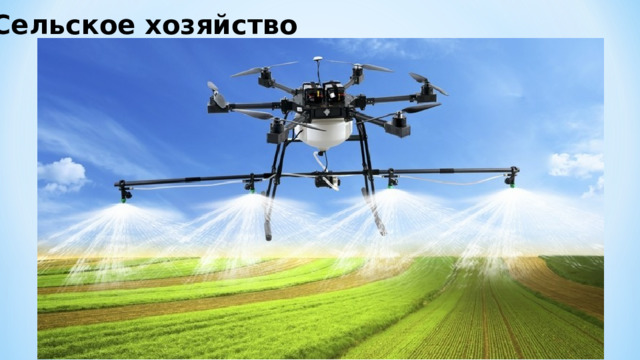 Сельское хозяйство 