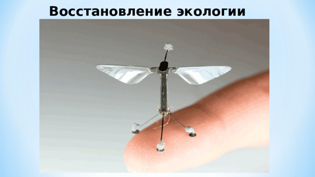 Восстановление экологии 