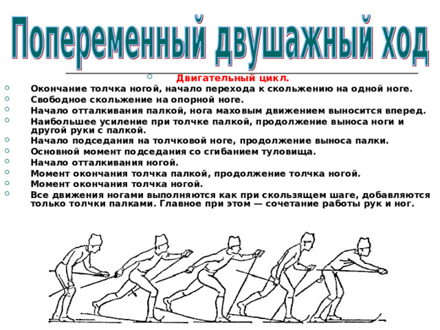 Двигательный цикл. Окончание толчка ногой, начало перехода к скольжению на одной ноге. Свободное скольжение на опорной ноге. Начало отталкивания палкой, нога маховым движением выносится вперед. Наибольшее усиление при толчке палкой, продолжение выноса ноги и другой руки с палкой. Начало подседания на толчковой ноге, продолжение выноса палки. Основной момент подседания со сгибанием туловища. Начало отталкивания ногой. Момент окончания толчка палкой, продолжение толчка ногой. Момент окончания толчка ногой. Все движения ногами выполняются как при скользящем шаге, добавляются только толчки палками. Главное при этом — сочетание работы рук и ног. 