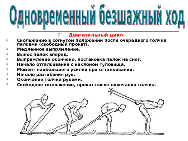 Двигательный цикл. Скольжение в согнутом положении после очередного толчка  палками (свободный прокат). Медленное выпрямление. Вынос палок вперед. Выпрямление окончено, постановка палок на снег. Начало отталкивания с наклоном туловища. Момент наибольшего усилия при отталкивании. Начало разгибания рук. Окончание толчка руками. Свободное скольжение, прокат после окончания толчка.   