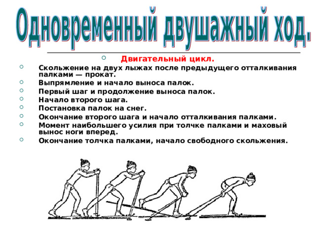 Двигательный цикл. Скольжение на двух лыжах после предыдущего отталкивания палками — прокат. Выпрямление и начало выноса палок. Первый шаг и продолжение выноса палок. Начало второго шага. Постановка палок на снег. Окончание второго шага и начало отталкивания палками. Момент наибольшего усилия при толчке палками и маховый  вынос ноги вперед. Окончание толчка палками, начало свободного скольжения.  